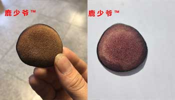 梅花鹿鹿茸和馬鹿鹿茸如何區(qū)分